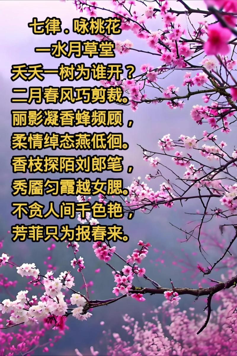赏泉城公园桃花，赏桃花相关的唯美诗句  第1张