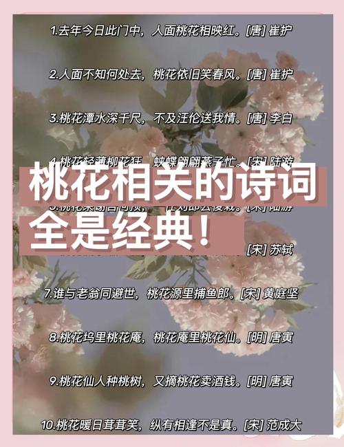 36首桃花诗词,首首经典,首首唯美 第1张 36首桃花诗词,首首经典,首首唯美 第1张