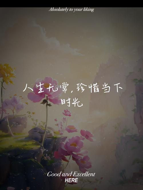 不负时光，珍惜当下  第1张