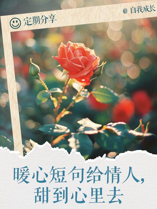 文艺又暖心的情话，句句深情唯美（情侣必备）  第1张