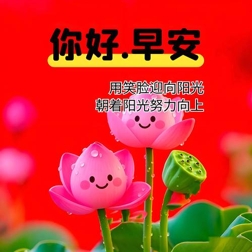 早安心语‖轻轻地问候浓浓的思念，静静的牵挂绵绵的情意  第1张