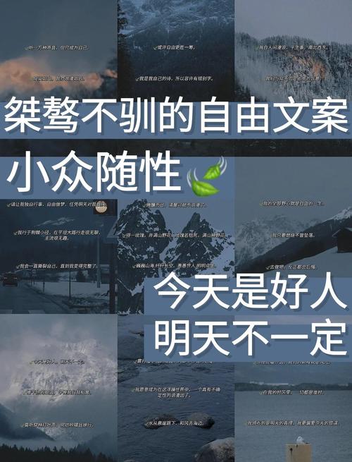 情绪文案｜“肆意生长，热爱无休”  第1张