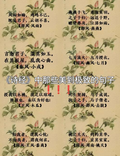 《诗经》10条唯美名句，简短温馨，沁人心脾！  第1张