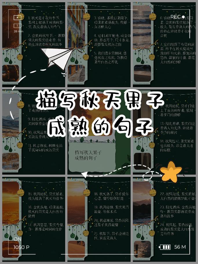 果子语录：一百四十二  第1张