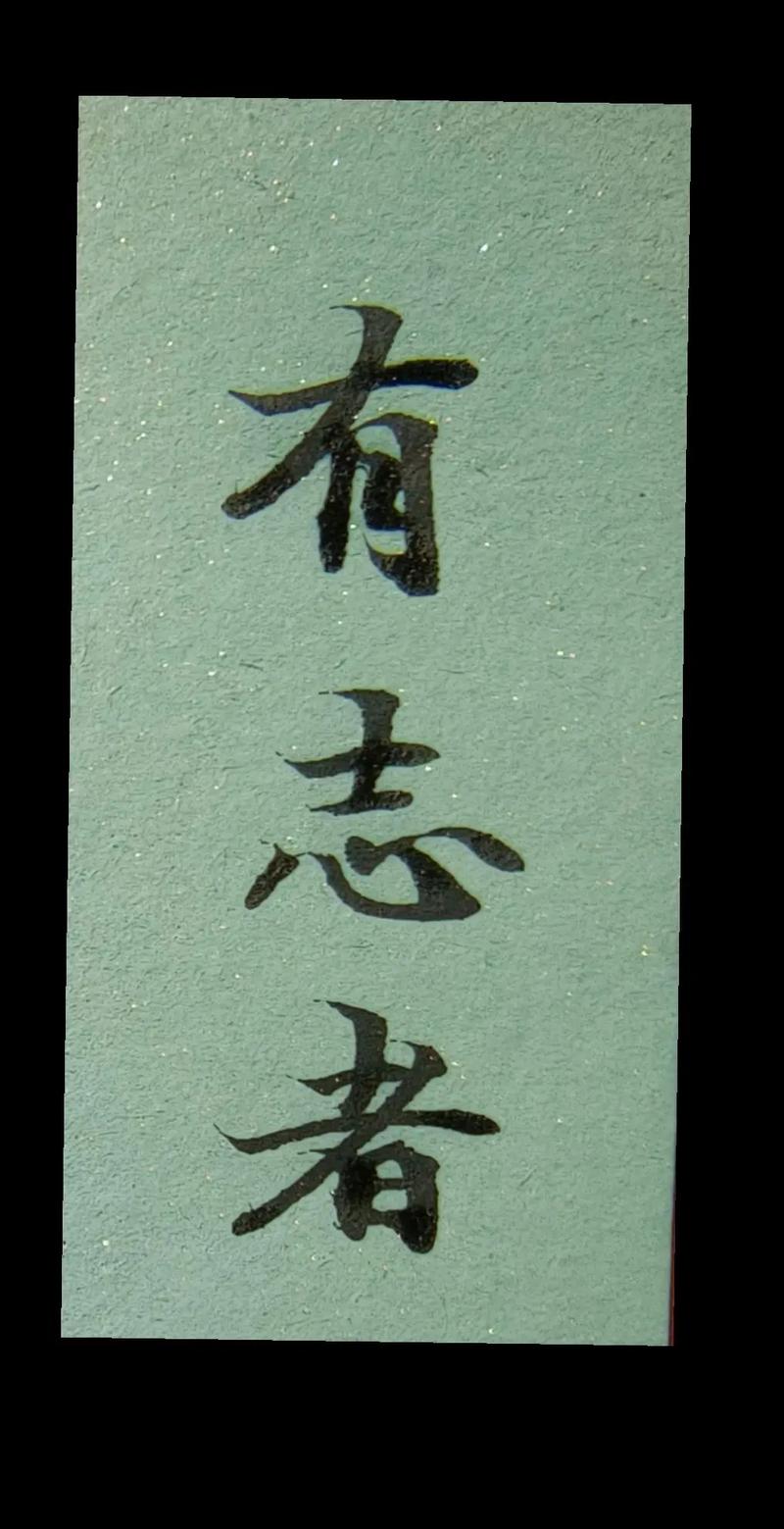 志存高远，有志者，事竟成；立大志者，得中志；立小志者不得志  第1张