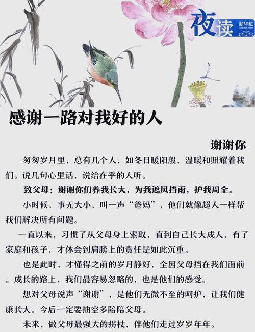 感恩身边的每一个人，30条正能量说说。  第1张