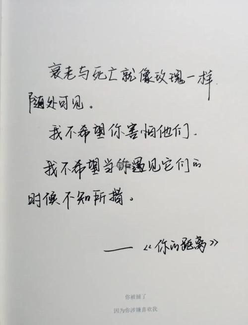 沈从文笔下最美的18句情话，你最喜欢哪一句  第1张