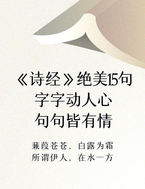 《诗经》中的40个神句  第1张