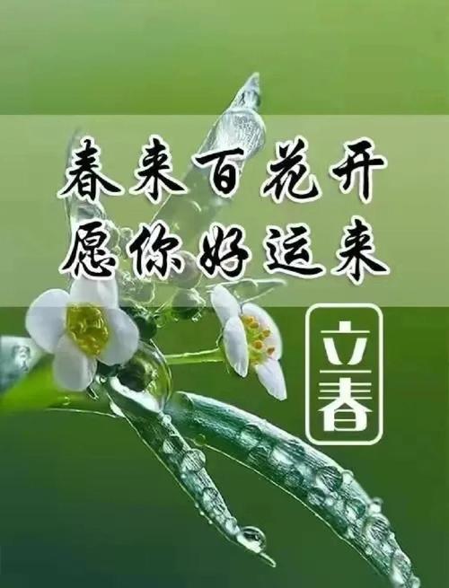 疫去春来，愿所有美好如约而至  第1张