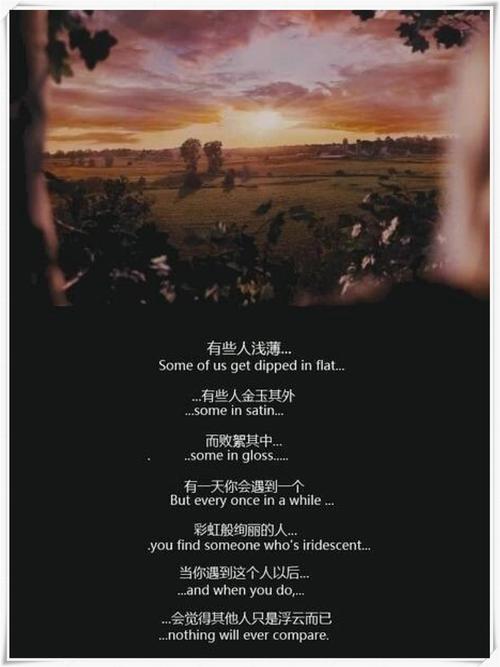 《怦然心动》中的经典台词（中英双译文）  第1张