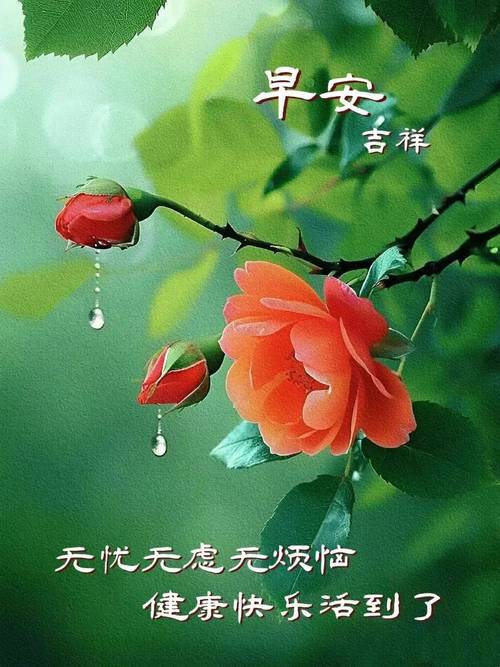 免打字经典温馨问候祝福短语精选，清晨唯美漂亮祝福图文短句  第1张