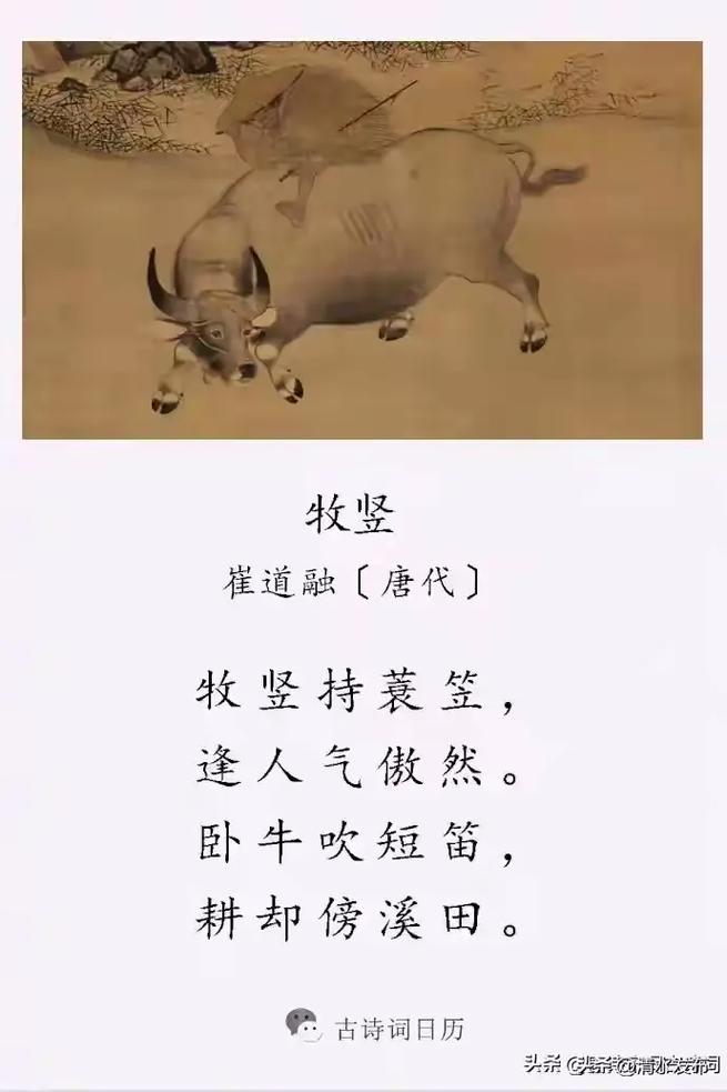 500句常用俗语谚语集锦：牛无力拉横耙，人无理说横话  第1张