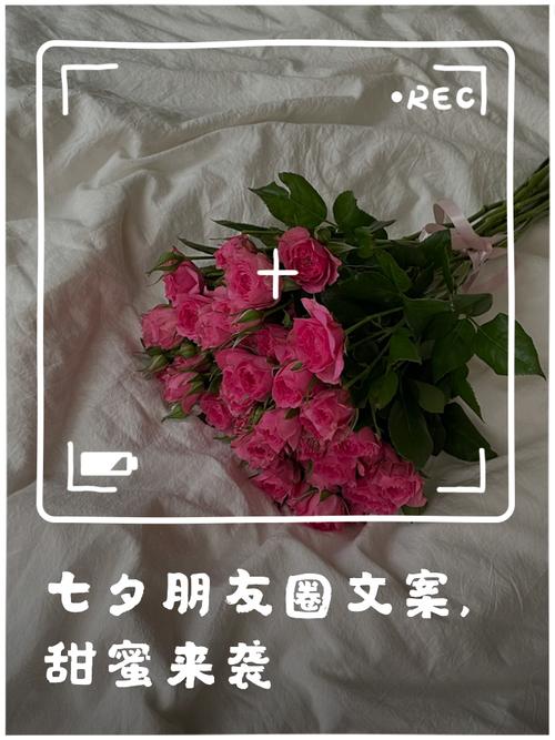 甜蜜的七夕纪念日文案  第1张