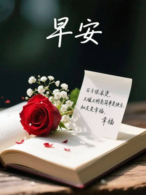 朋友圈早上最暖心窝的唯美说说句子  第1张