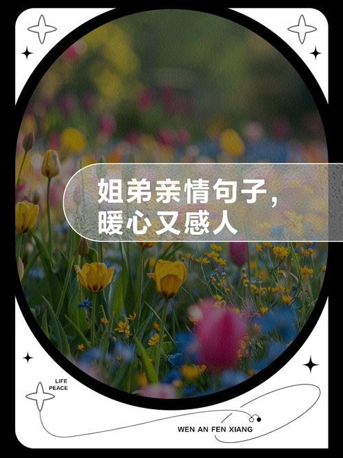 与亲情有关的走心文案，很走心，很温馨！  第1张