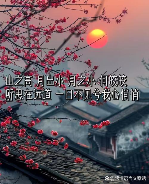 意境唯美的古风文案｜风月｜清梦｜星河  第1张