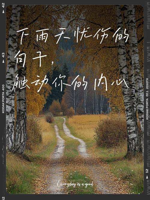 有关下雨天的唯美句子 看天在下雨听心在哭泣  第1张