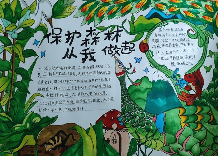 世界森林日｜守护地球“绿肺”，共筑美好家园  第1张