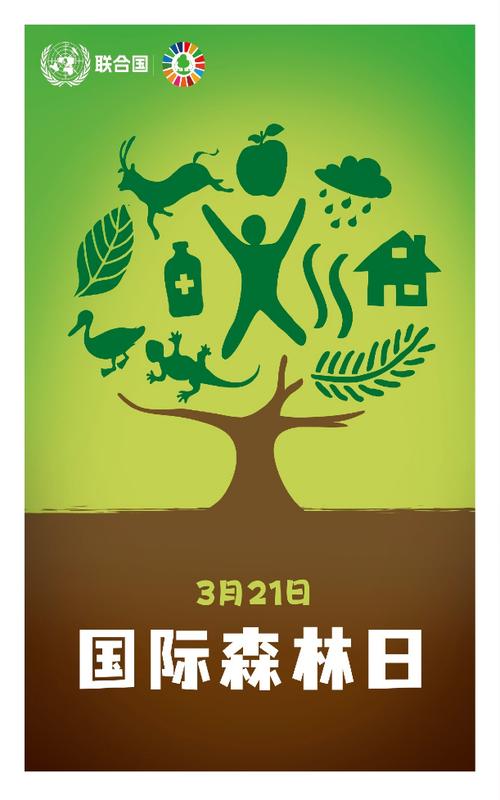 「世界森林日」守护“森”呼吸，爱护绿色家园，从点滴做起  第1张