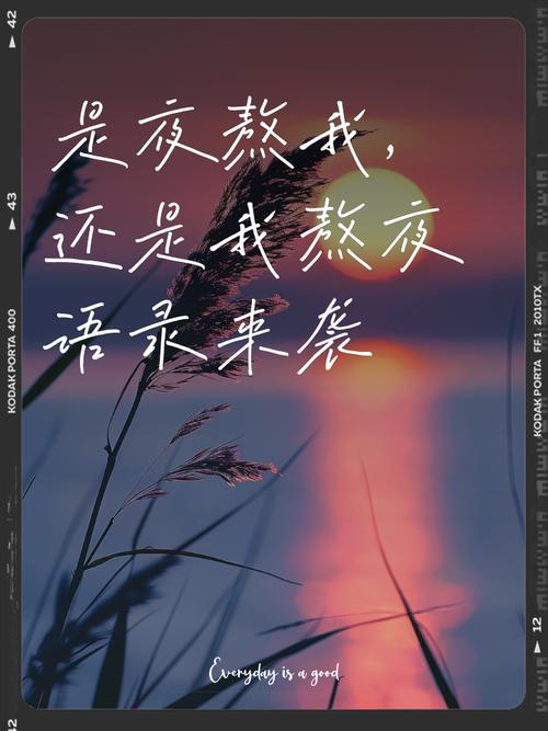 关于熬夜的朋友圈文案  第1张