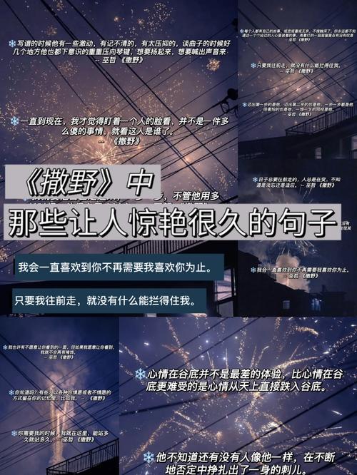 《撒野》中用于早安打卡的励志语录，这句用的人最多  第1张