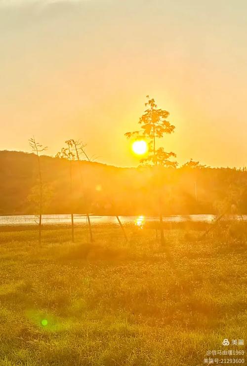 西边的太阳  第1张