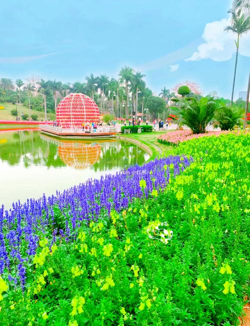 春天的花园  第1张