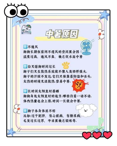 酷热夏天预防中暑小妙招  第1张