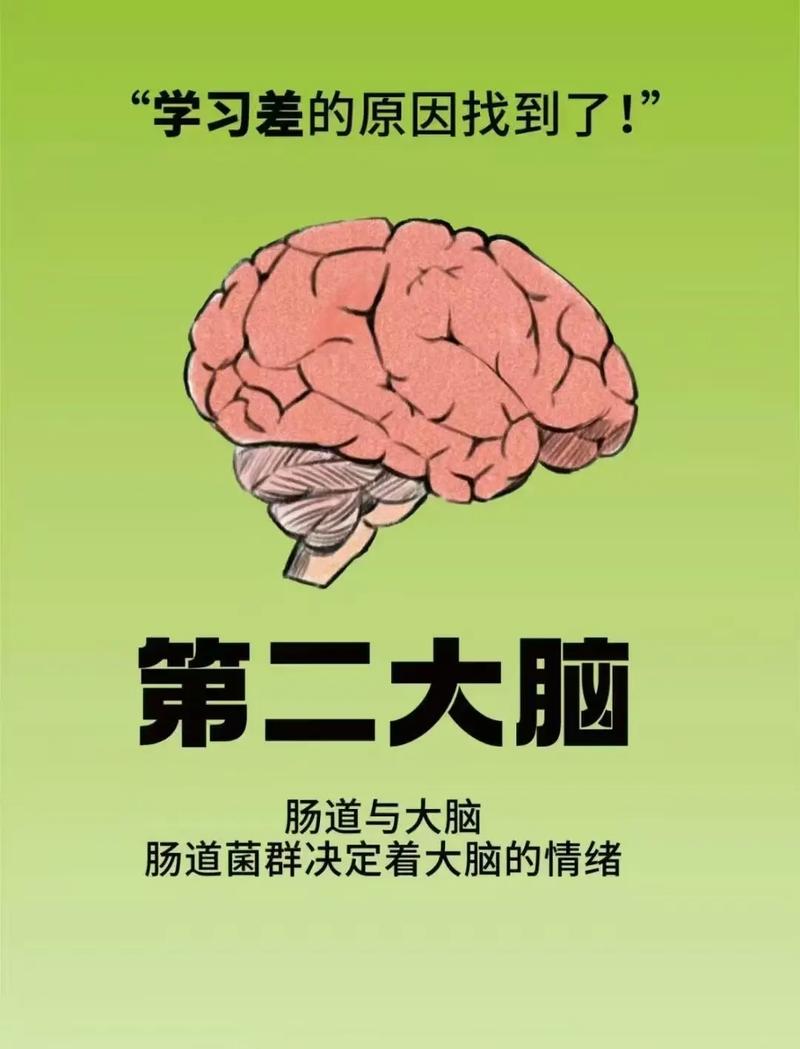 肠是人的第二大脑, 懂得“肠寿”才能“长寿”  第1张