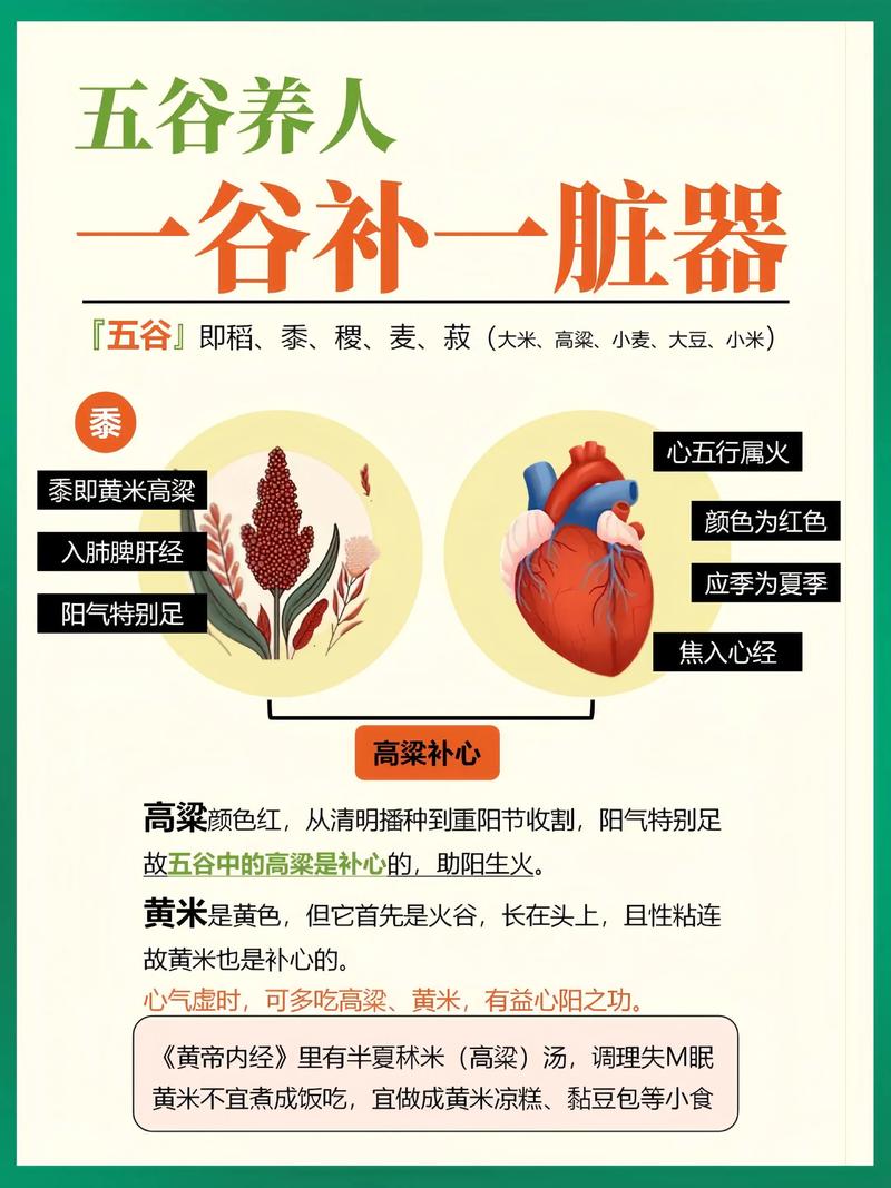 一谷补一脏 中医告诉你五谷怎样吃最养生  第1张