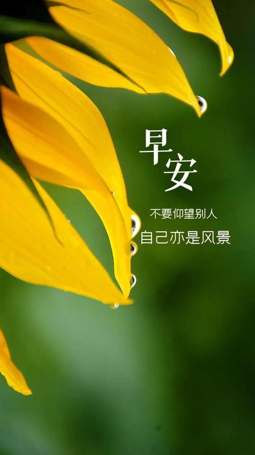 早上好！几条说说情感励志语录，句句让人心疼，送给悲伤难过的你  第1张