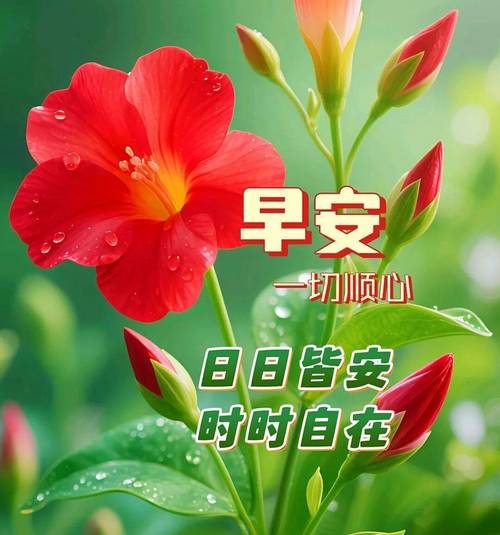 早上好！微信上最火的经典句子，句句清新唯美，送给委屈心累的你  第1张