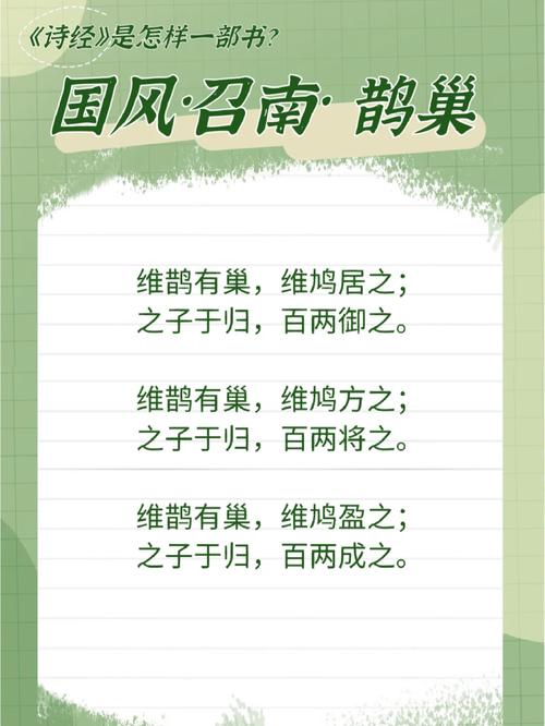 《诗经·鹊巢》：原来“鹊巢鸠占”是用来比喻爱情的  第1张