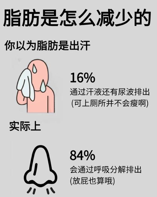 如何消耗脂肪  第1张