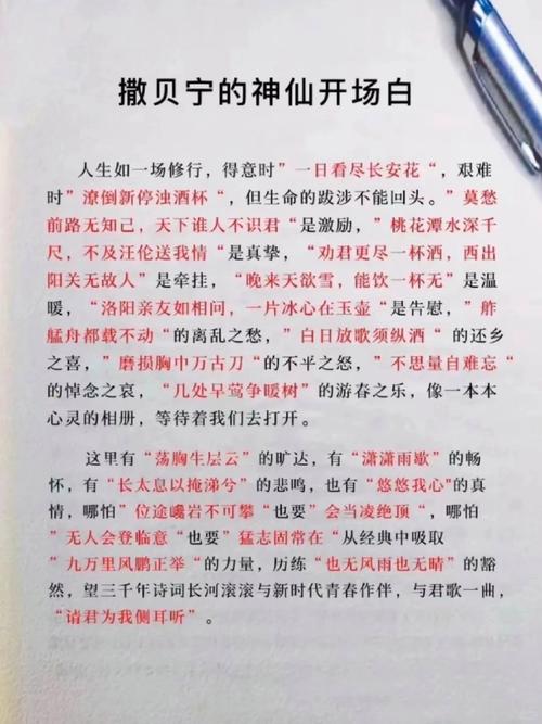 撒贝宁的经典语录  第1张