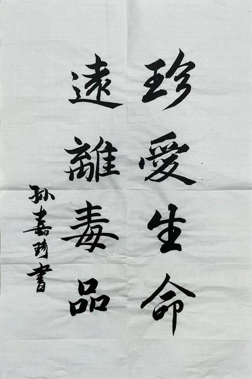 珍爱生命 励志禁毒的句子  第1张