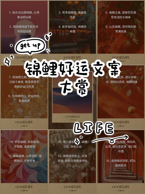 幸运的锦鲤文案：华丽常常伴随着伟大，幸运更经常地来自于简单  第1张