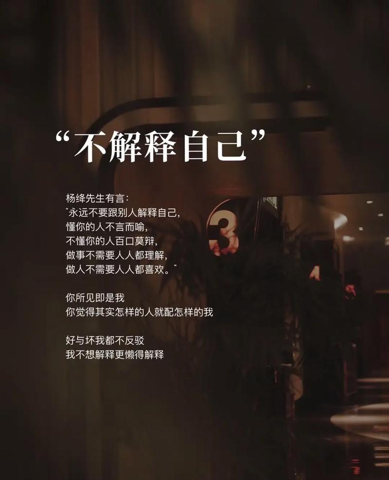 不要解释你自己  第1张