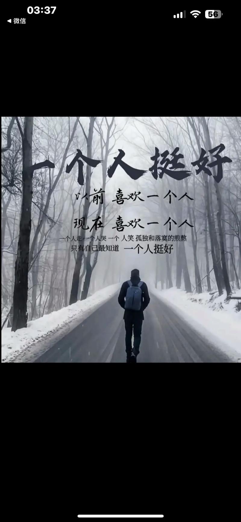 习惯了一个人  第1张