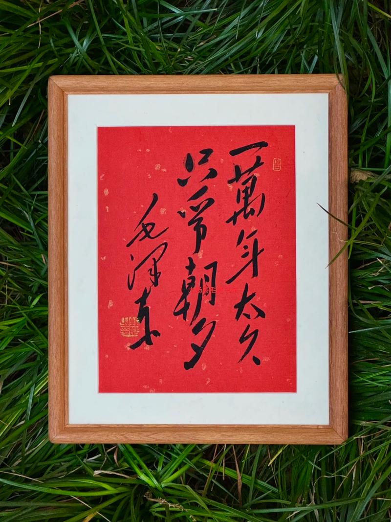 纪念那些奋不顾身的年岁  第1张