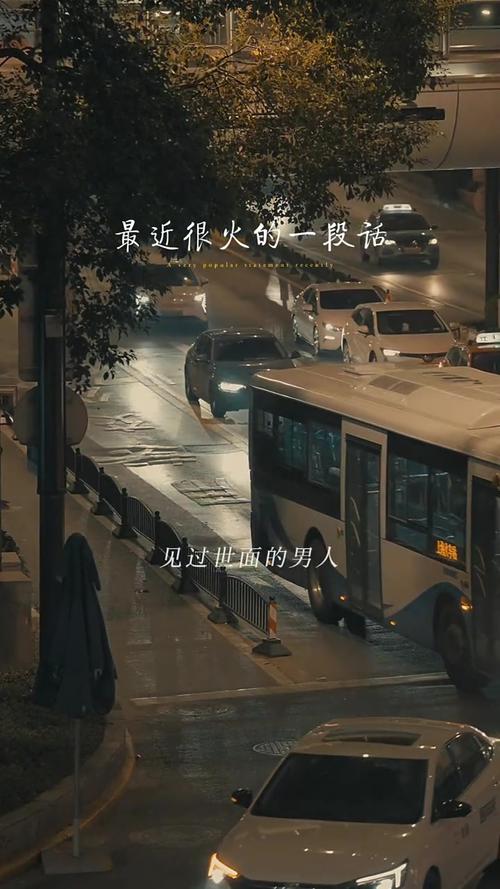 那一晚，他输了整个世界  第1张