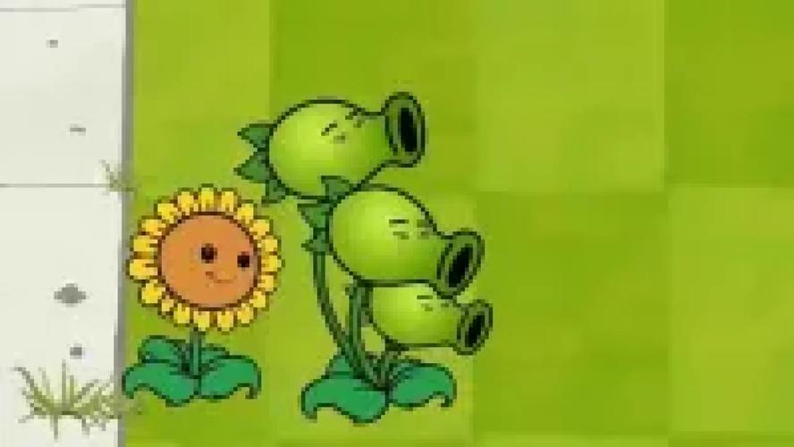 高兴的太早了  第1张