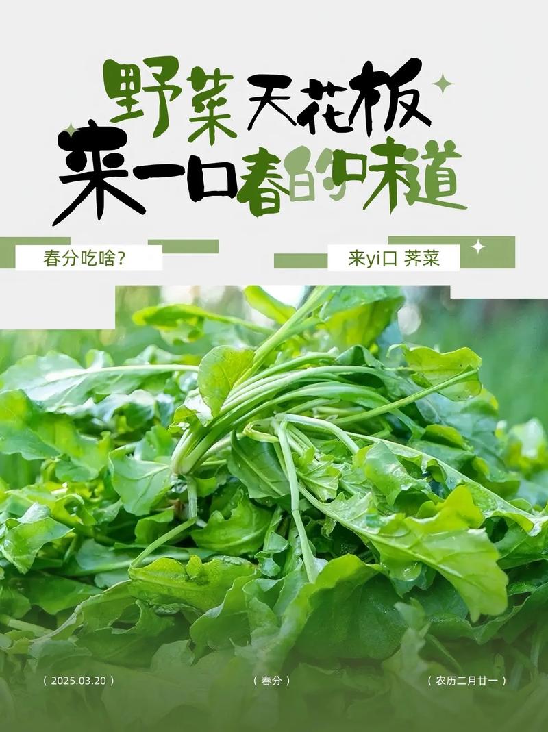 寻味 | 春食野菜，尝遍人间味  第1张