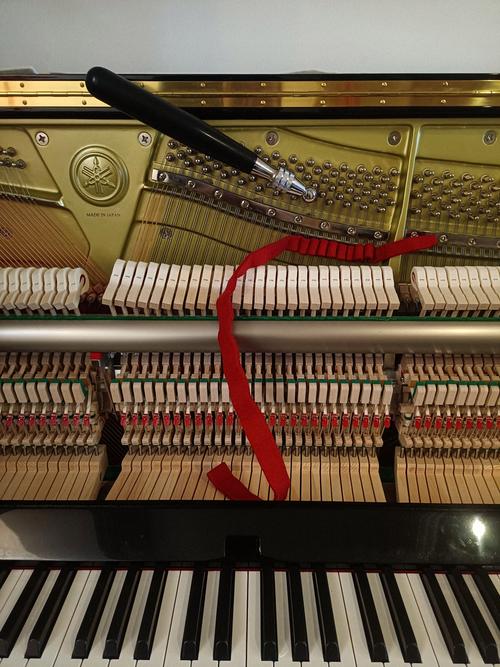 二月的琴键  第1张