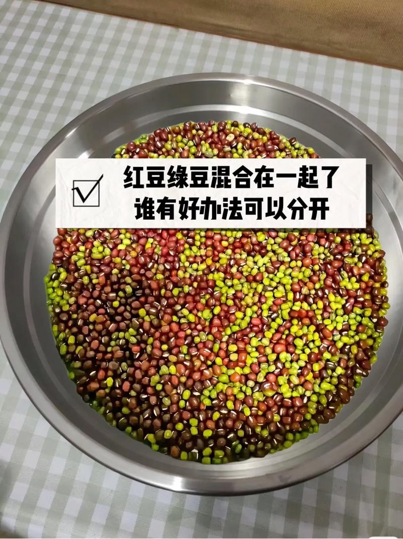 红豆缘  第1张