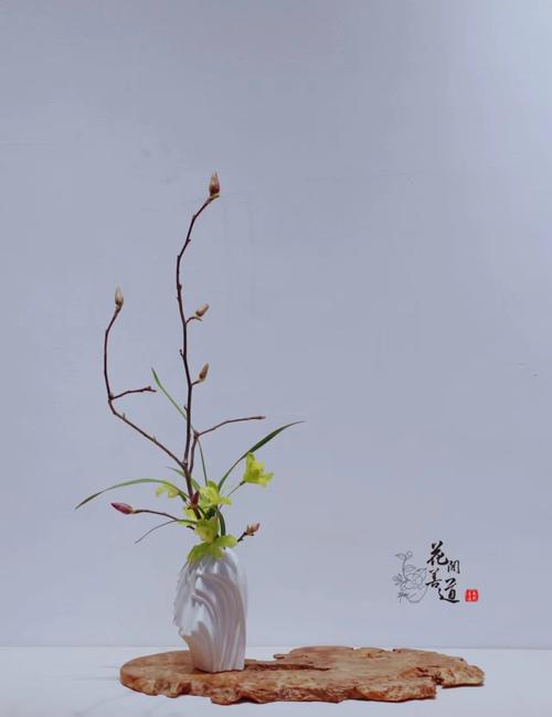 茶席上，听花开的声音  第1张