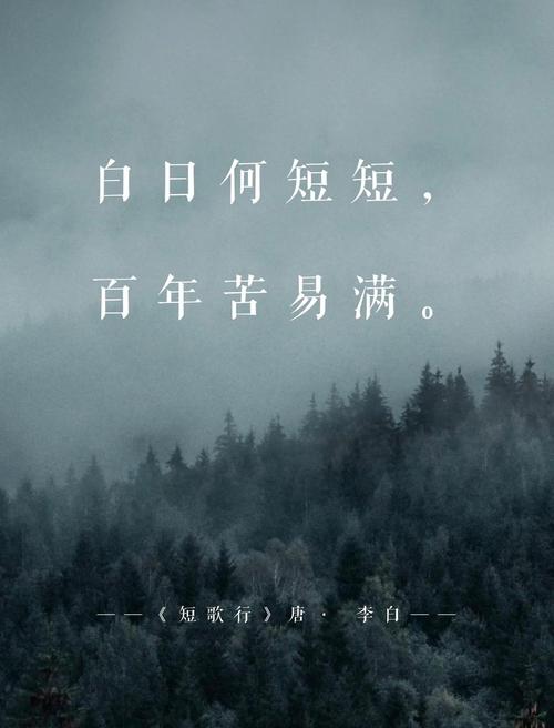 天地初寒，愿岁月安暖  第1张