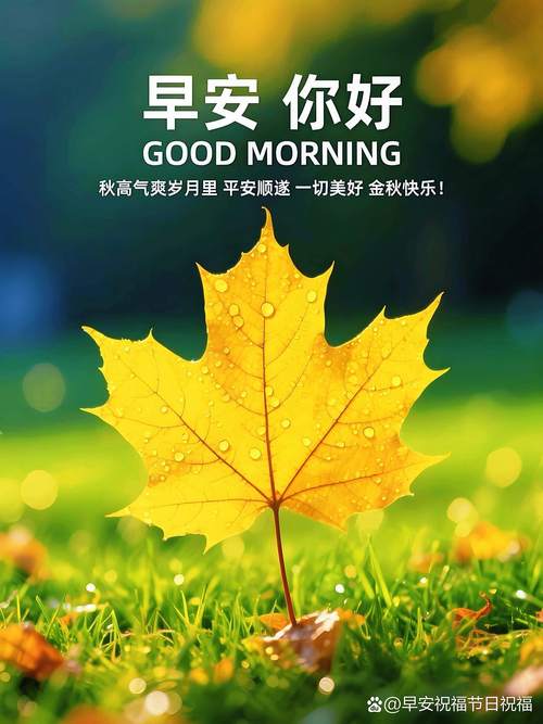 愿我的祝福，让你每天都会开心满怀，幸福常在，朋友，早安！  第1张