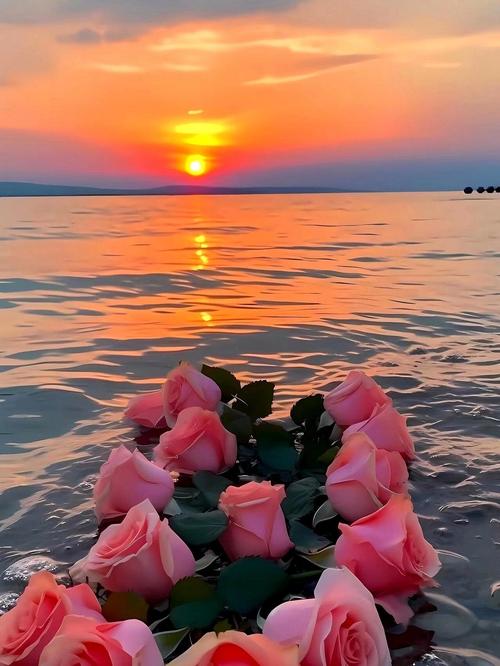 太美的青春，太美的爱  第1张