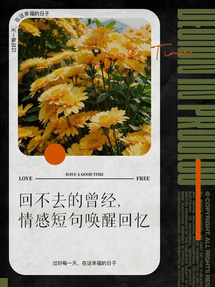 一辈子都不会忘记那些最美好的回忆  第1张